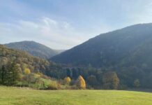 D. M. (53) POGINUO NA GRACU